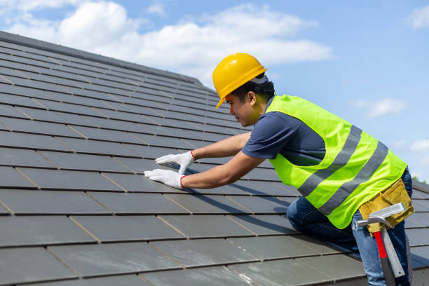 Best Roof Moss and Algae Removal  in Laurie, MO