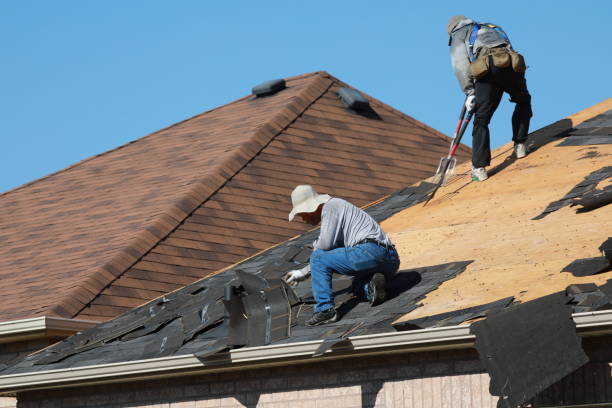 Best Gutter Installation and Repair  in Laurie, MO